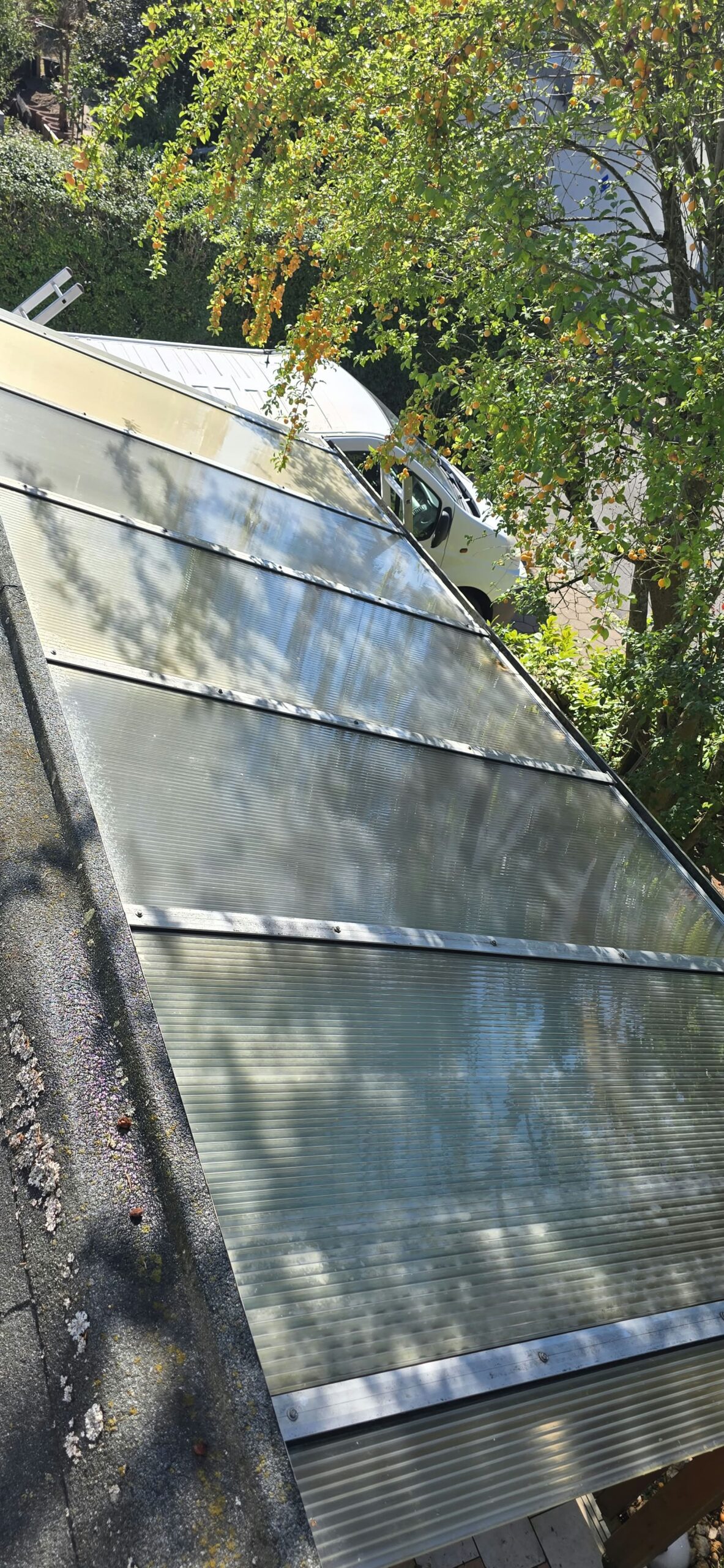 Terrassendachreinigung Weiden
